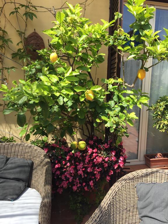 Terrazza Duomo Bed & Breakfast Napoli Exterior foto