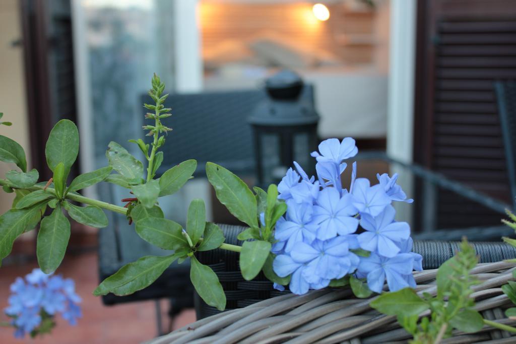 Terrazza Duomo Bed & Breakfast Napoli Cameră foto